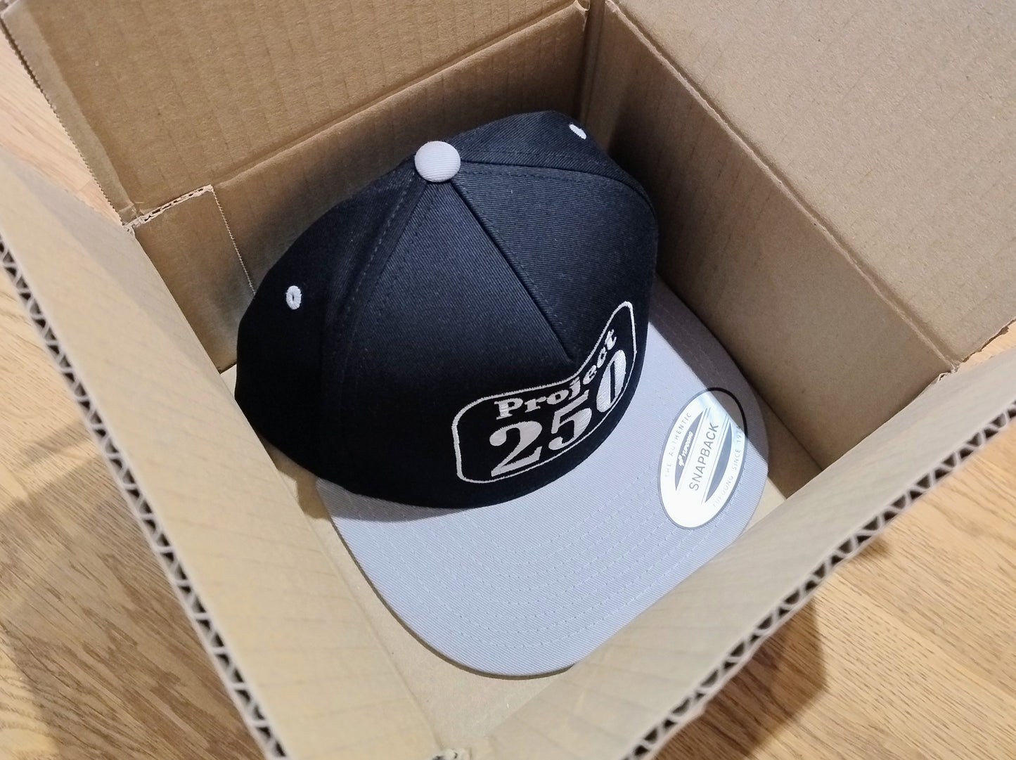 Project 250 Official Team Flat Bill Cap – Support the Next World Record Build
