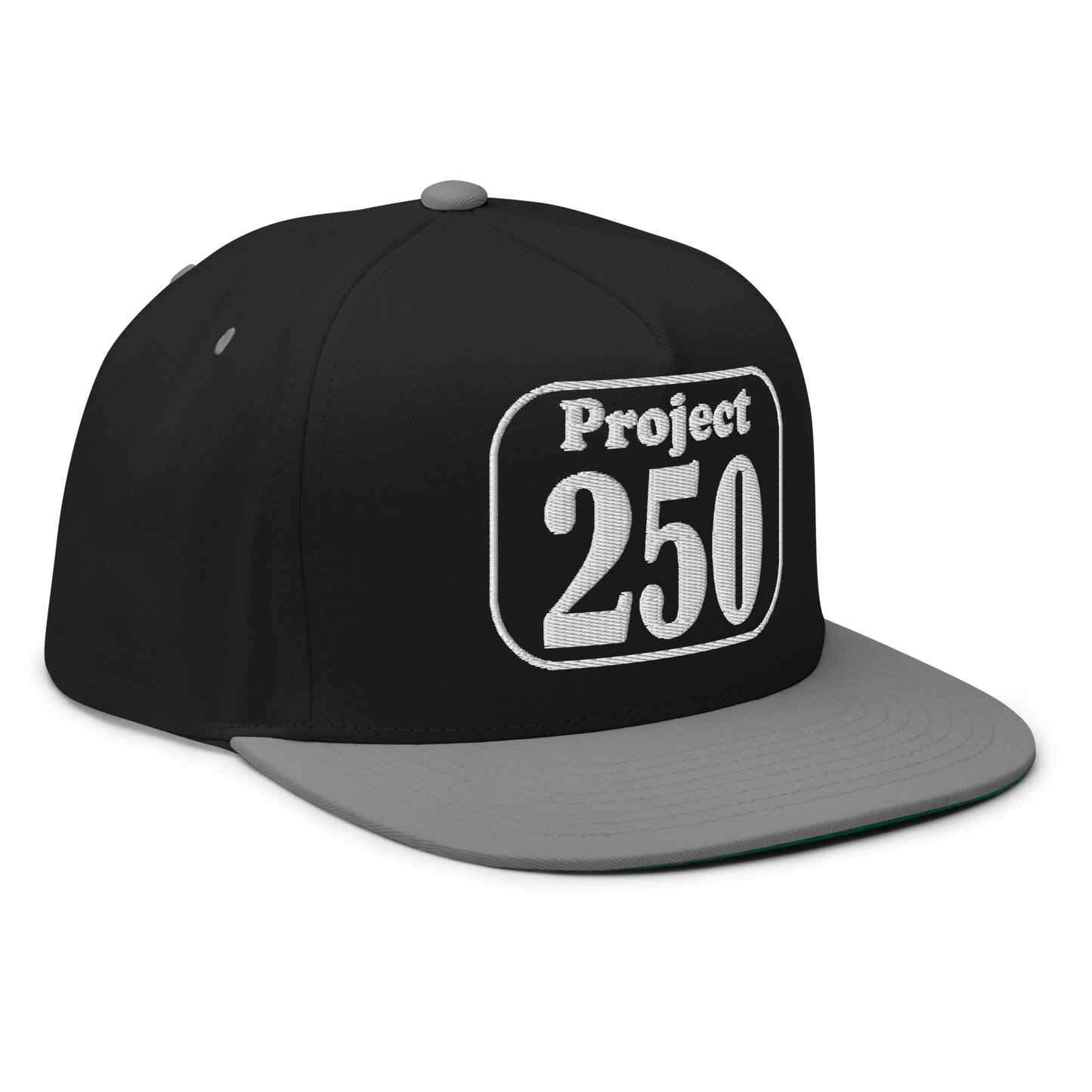 Project 250 Official Team Flat Bill Cap – Support the Next World Record Build