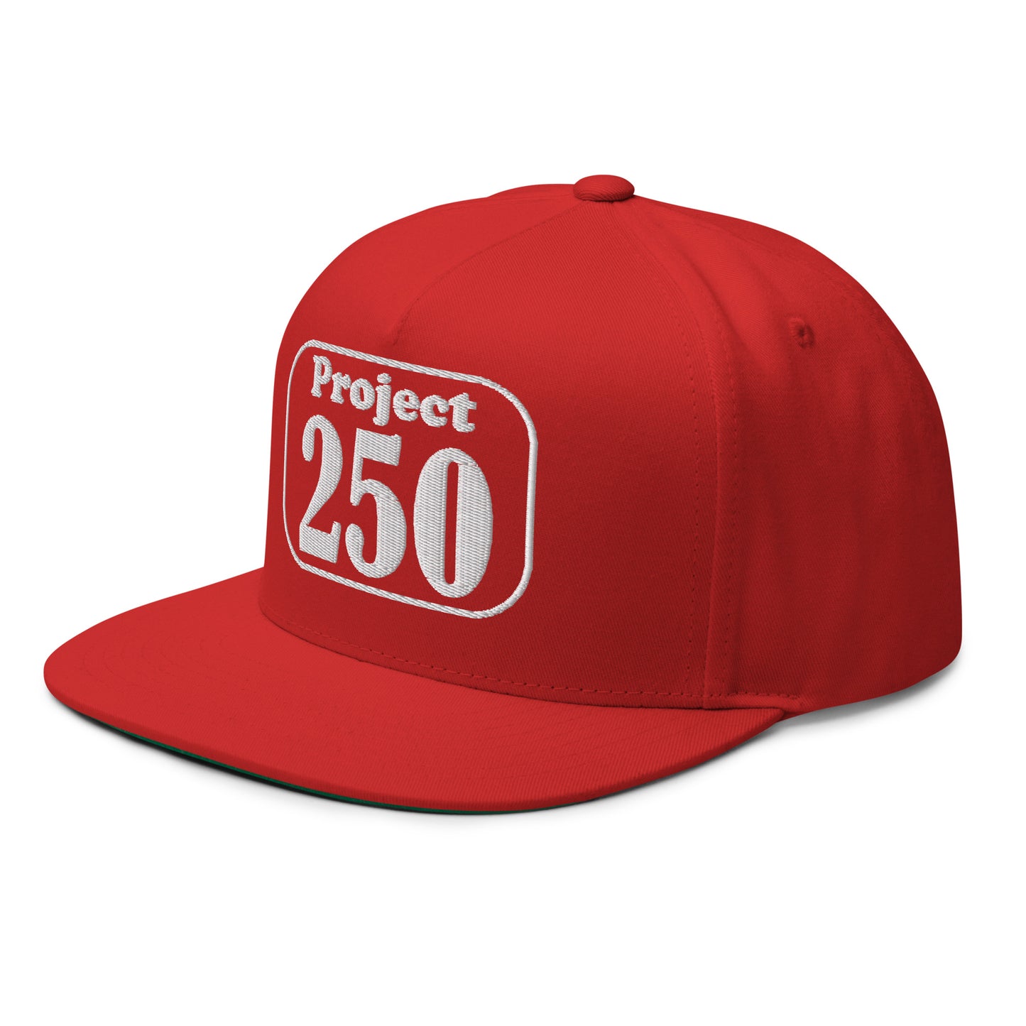 Project 250 Official Team Flat Bill Cap – Support the Next World Record Build